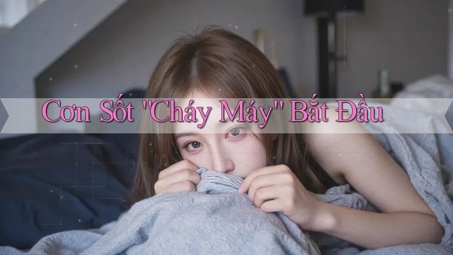 Cơn Sốt “Cháy Máy” Bắt Đầu