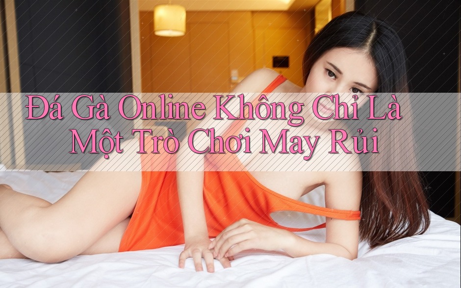 Đá Gà Online Không Chỉ Là Một Trò Chơi May Rủi Đá Gà Online Không Chỉ Là Một Trò Chơi May Rủi