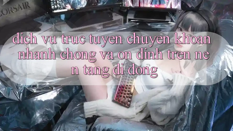 Dịch vụ trực tuyến Chuyển khoản Nhanh Chóng Và Ổn định Trên Nền Tảng Di Động