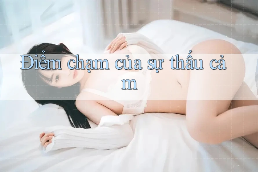 Điểm chạm của sự thấu cảm Điểm chạm của sự thấu cảm