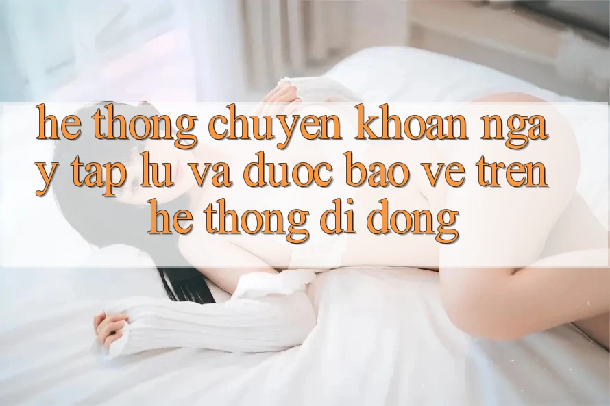 Hệ Thống Chuyển khoản Ngay tắp lự Và Được bảo vệ Trên Hệ thống Di Động Hệ Thống Chuyển khoản Ngay tắp lự Và Được bảo vệ Trên Hệ thống Di Động