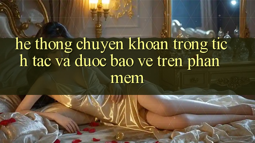 Hệ Thống Chuyển khoản Trong tích tắc Và Được bảo vệ Trên Phần mềm Hệ Thống Chuyển khoản Trong tích tắc Và Được bảo vệ Trên Phần mềm