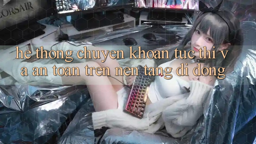 Hệ Thống Chuyển khoản Tức thì Và An toàn Trên Nền Tảng Di Động