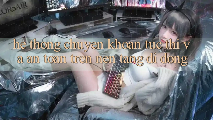 Hệ Thống Chuyển khoản Tức thì Và An Toàn Trên Nền Tảng Di Động