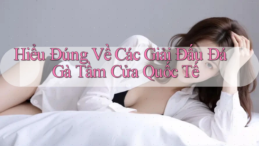 Hiểu Đúng Về Các Giải Đấu Đá Gà Tầm Cửa Quốc Tế