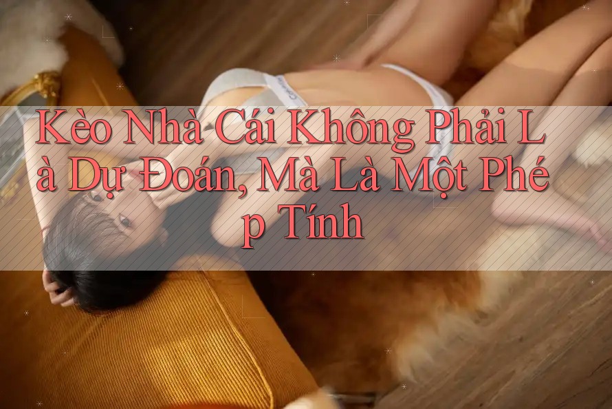 Kèo Nhà Cái Không Phải Là Dự Đoán, Mà Là Một Phép Tính Kèo Nhà Cái Không Phải Là Dự Đoán, Mà Là Một Phép Tính