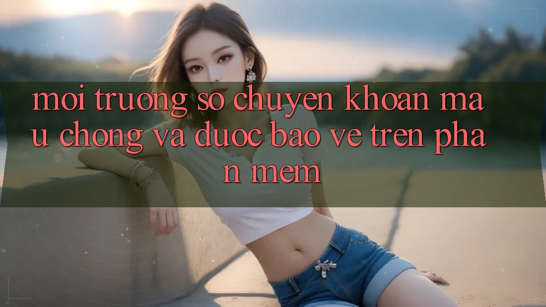 Môi trường số Chuyển khoản Mau Chóng Và Được bảo vệ Trên Phần mềm