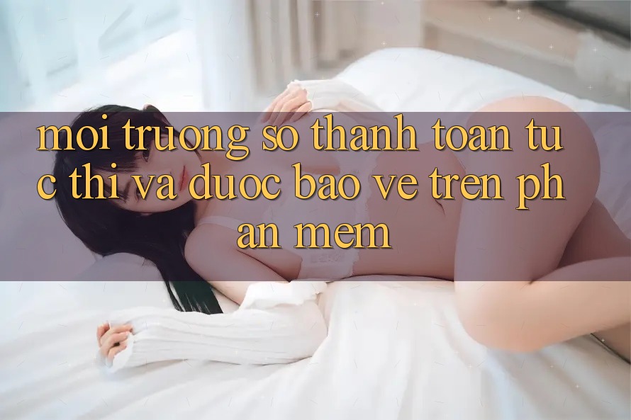 Môi trường số Thanh toán Tức thì Và Được bảo vệ Trên Phần mềm