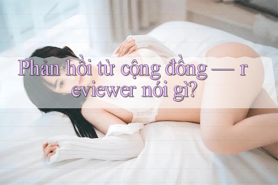 Phản hồi từ cộng đồng — reviewer nói gì?