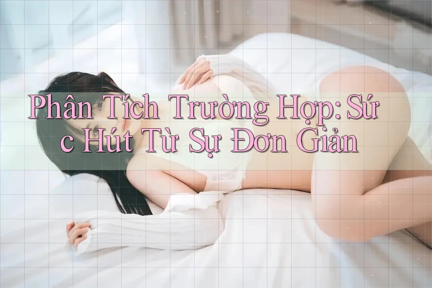 Phân Tích Trường Hợp: Sức Hút Từ Sự Đơn Giản Phân Tích Trường Hợp: Sức Hút Từ Sự Đơn Giản