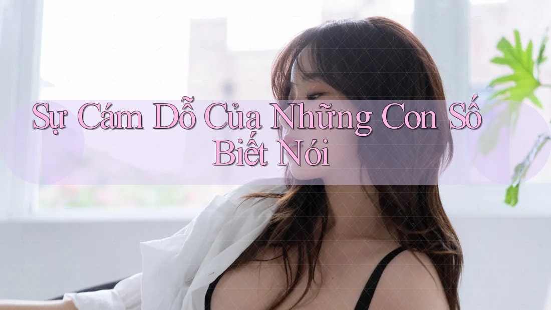 Sự Cám Dỗ Của Những Con Số Biết Nói