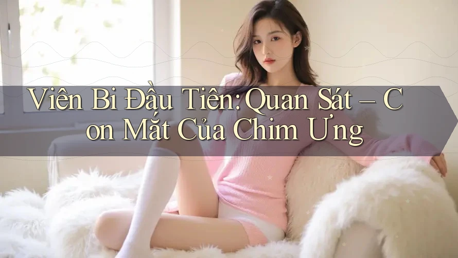 Viên Bi Đầu Tiên: Quan Sát – Con Mắt Của Chim Ưng